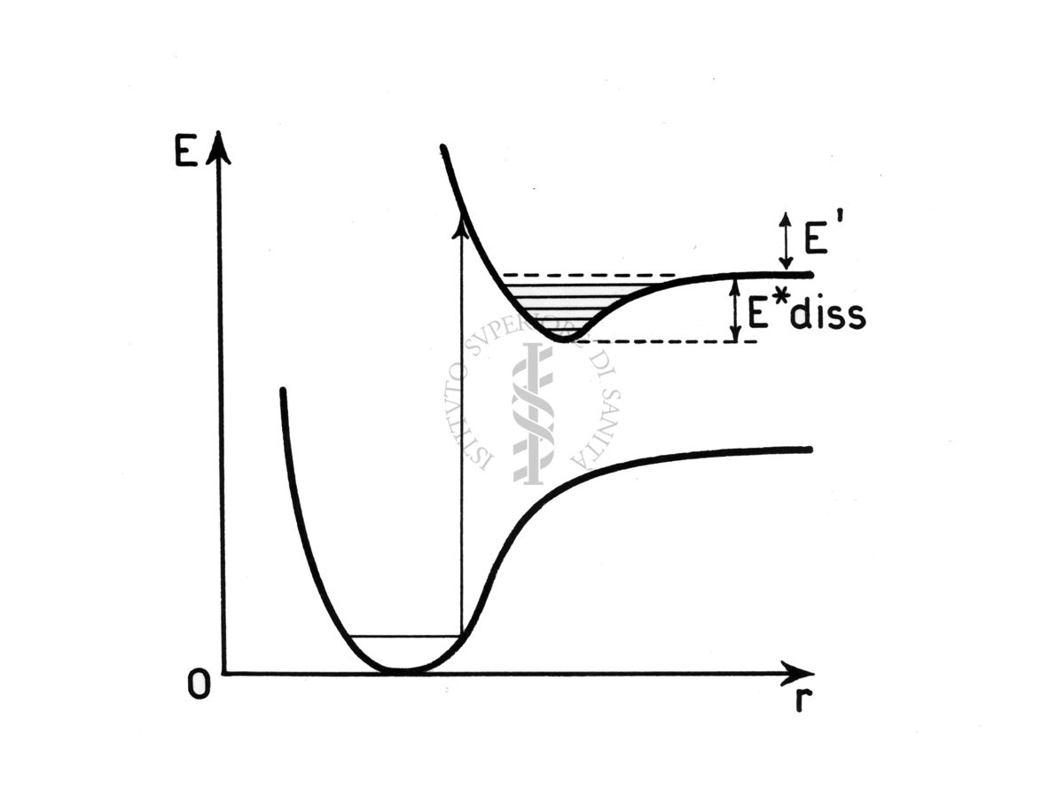 Curve di potenziale (schematiche)