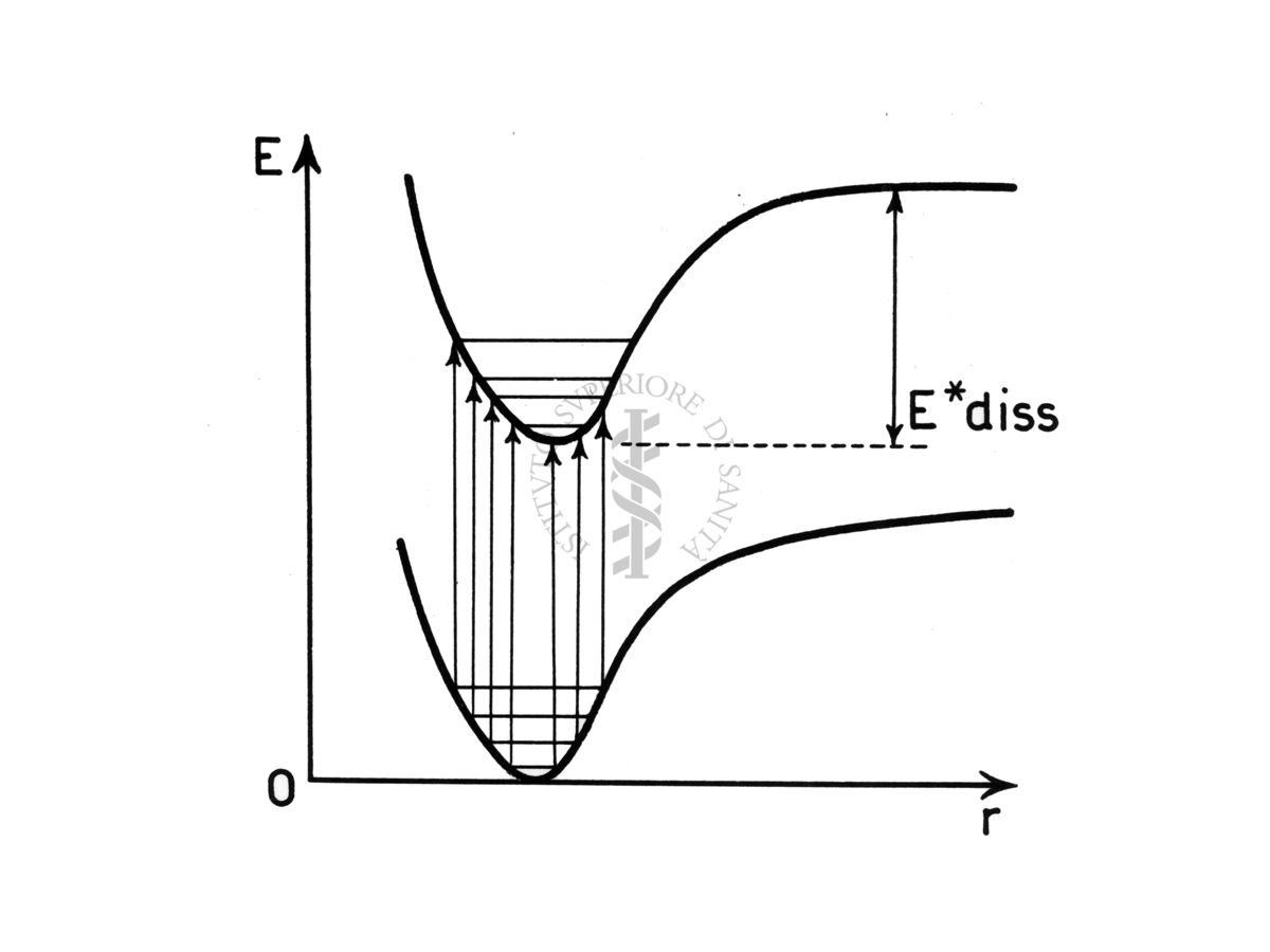 Curve di potenziale (schematiche)