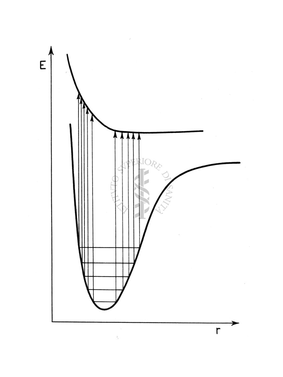 Curve di potenziale (schematiche)