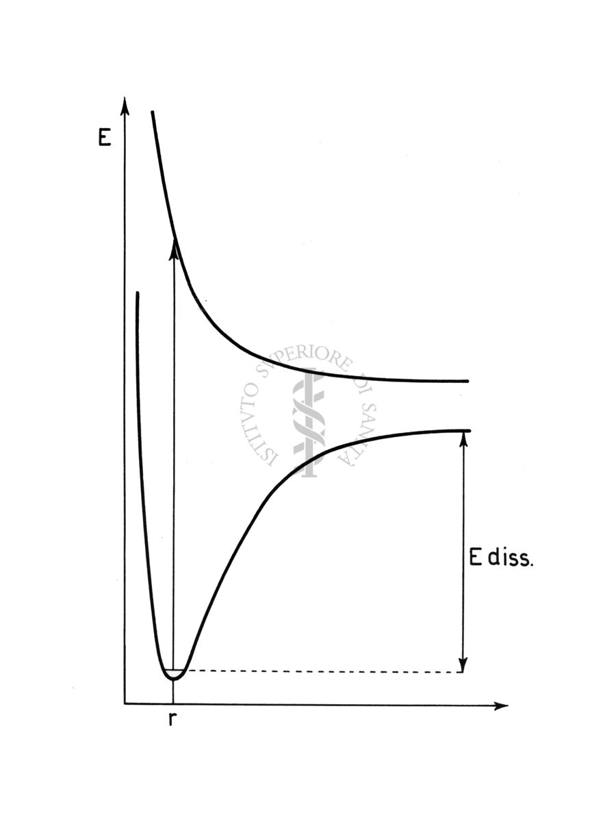 Curve di potenziale (schematiche)