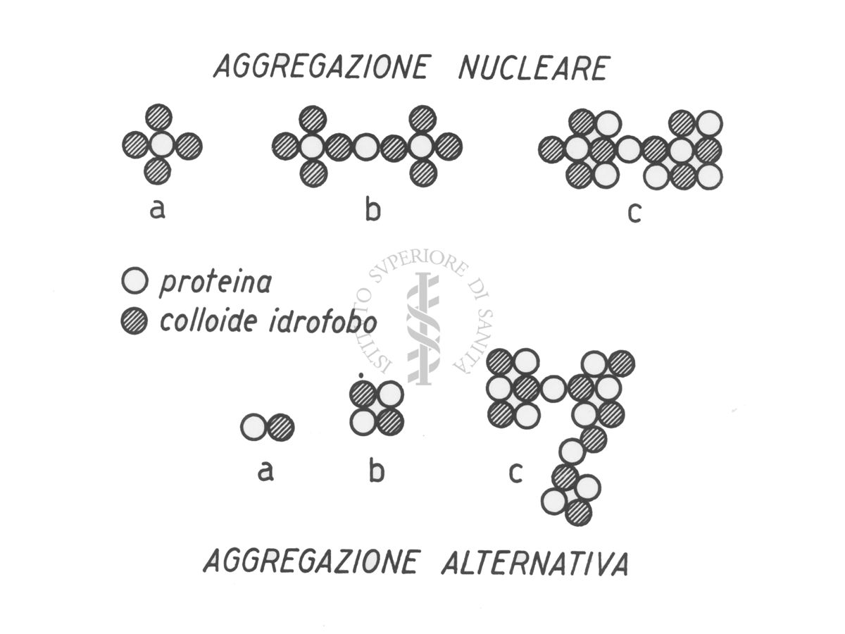 Diagramma riguardante l'aggregazione di particelle colloidali