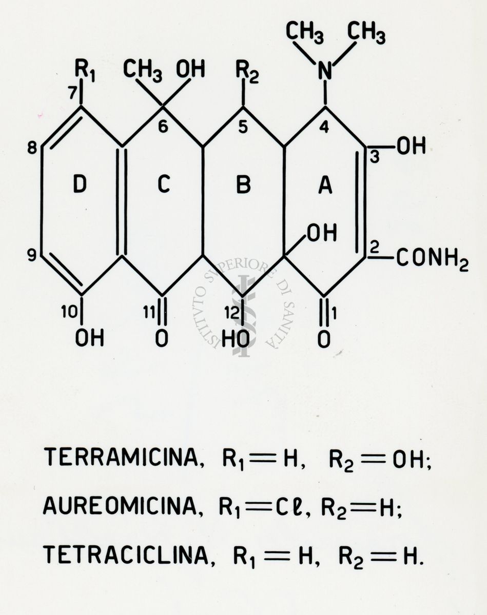 Formule riguardanti gli antibiotici