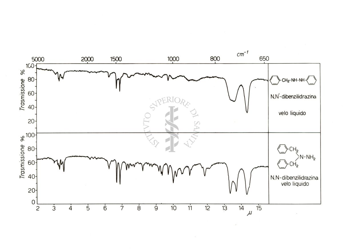 Spettri IR della 1,2-dibenzilidrazina e della 1,1-dibenzilidrazina