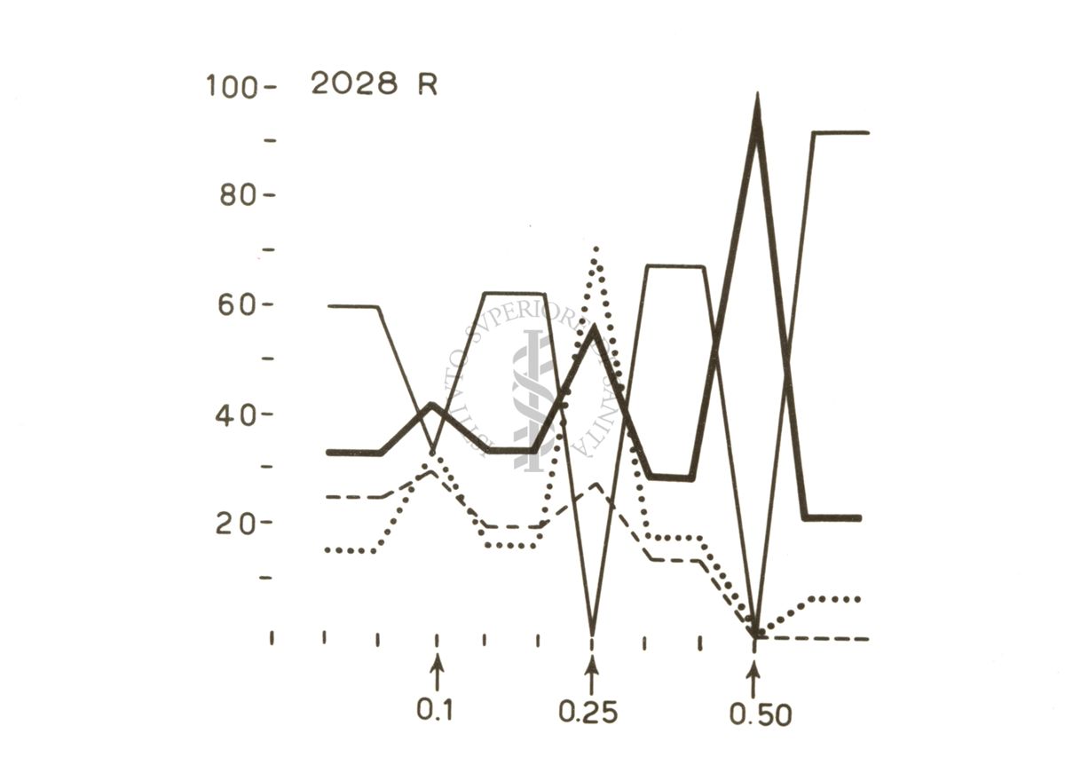 Grafico su cui è scritto: 2028 R