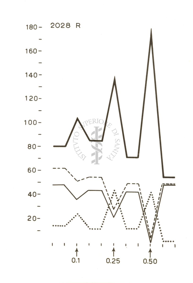 Grafico su cui è scritto: 2028 R