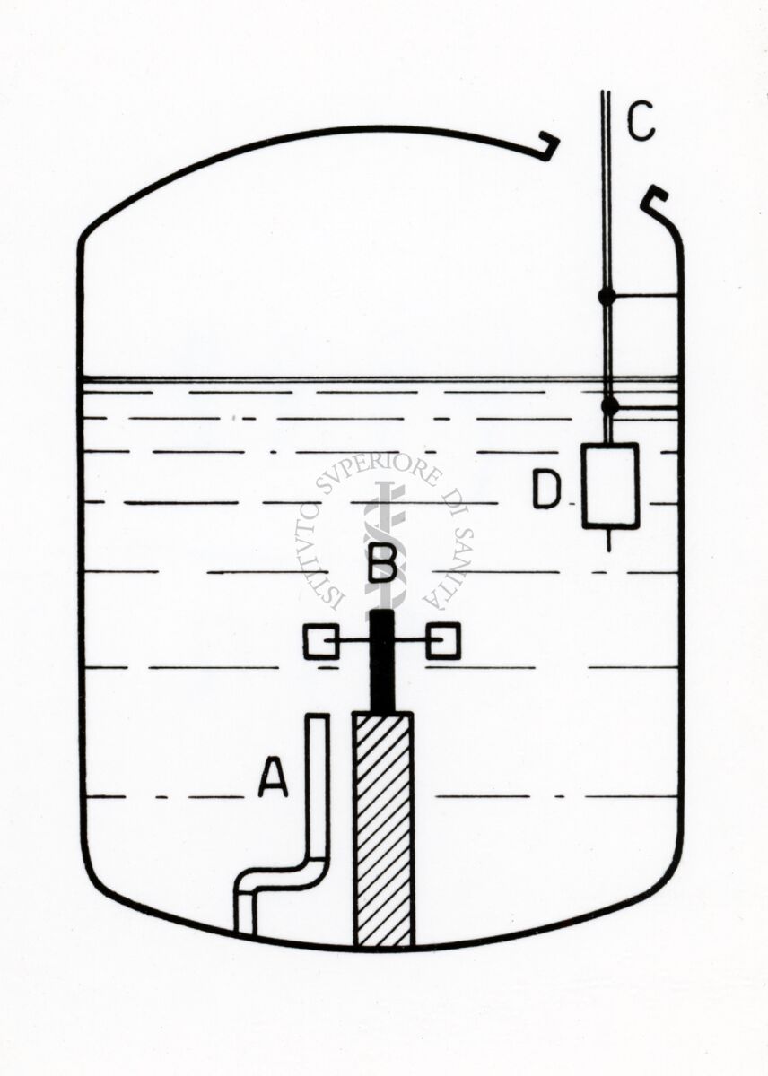 Riproduzione da disegno