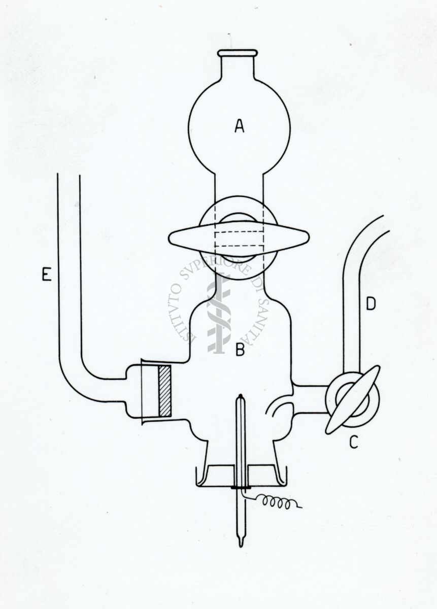 Riproduzione da disegno