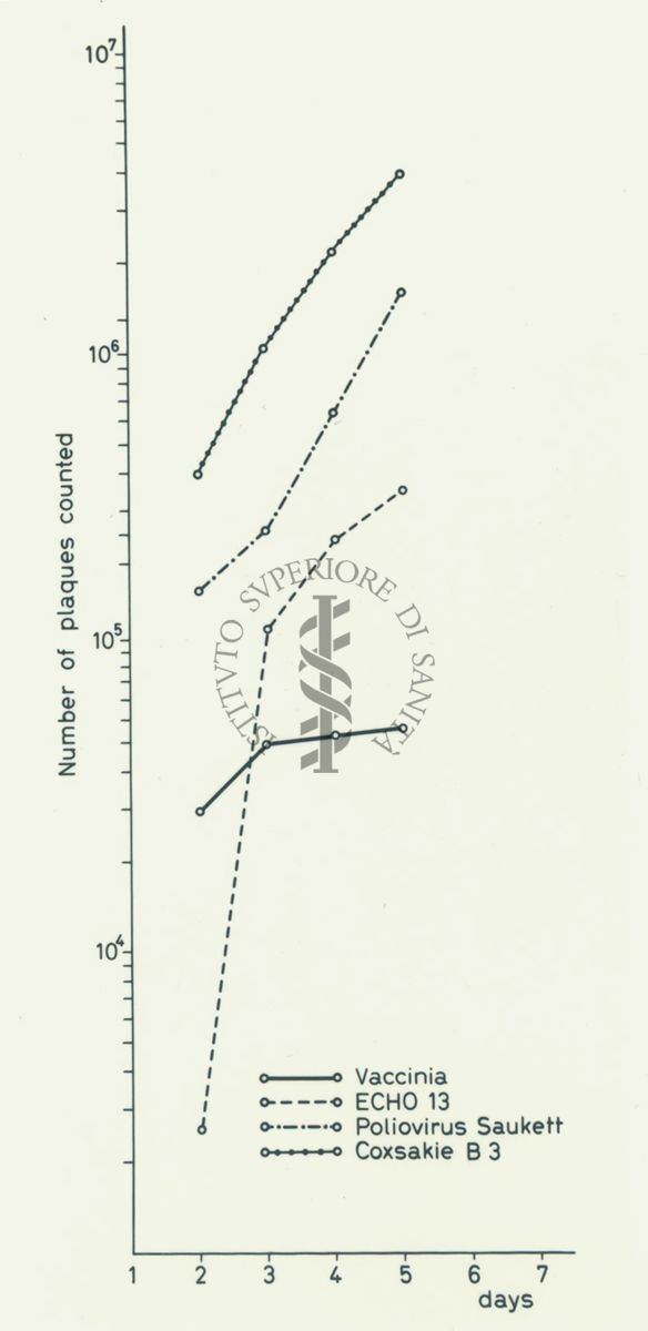 Grafico: sull'asse delle ordinate è scritto "Number of plaques counted", sull'asse delle ascisse sono riportati i giorni, all'interno del grafico: Vaccinia, ECHO13, Poliovirus Saukett, Coxsakie B3