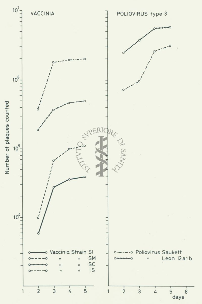 Due grafici accostati: sull'asse delle ordinate è scritto "Number of plaques counted", sull'asse delle ascisse sono riportati i giorni, all'interno dei grafici sono riportati vari parametri