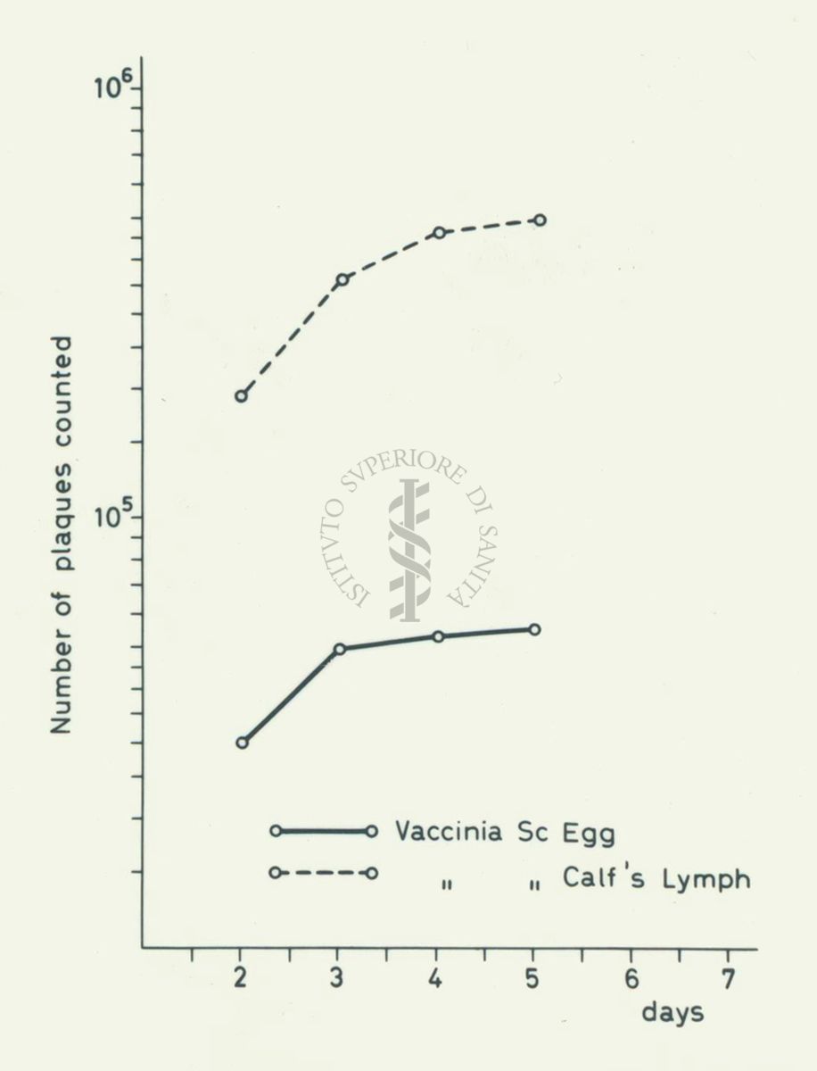 Grafici: sull'asse delle ordinate è scritto "Number of plaques counted", sull'asse delle ascisse sono riportati i giorni, all'interno del grafico sono riportati due parametri