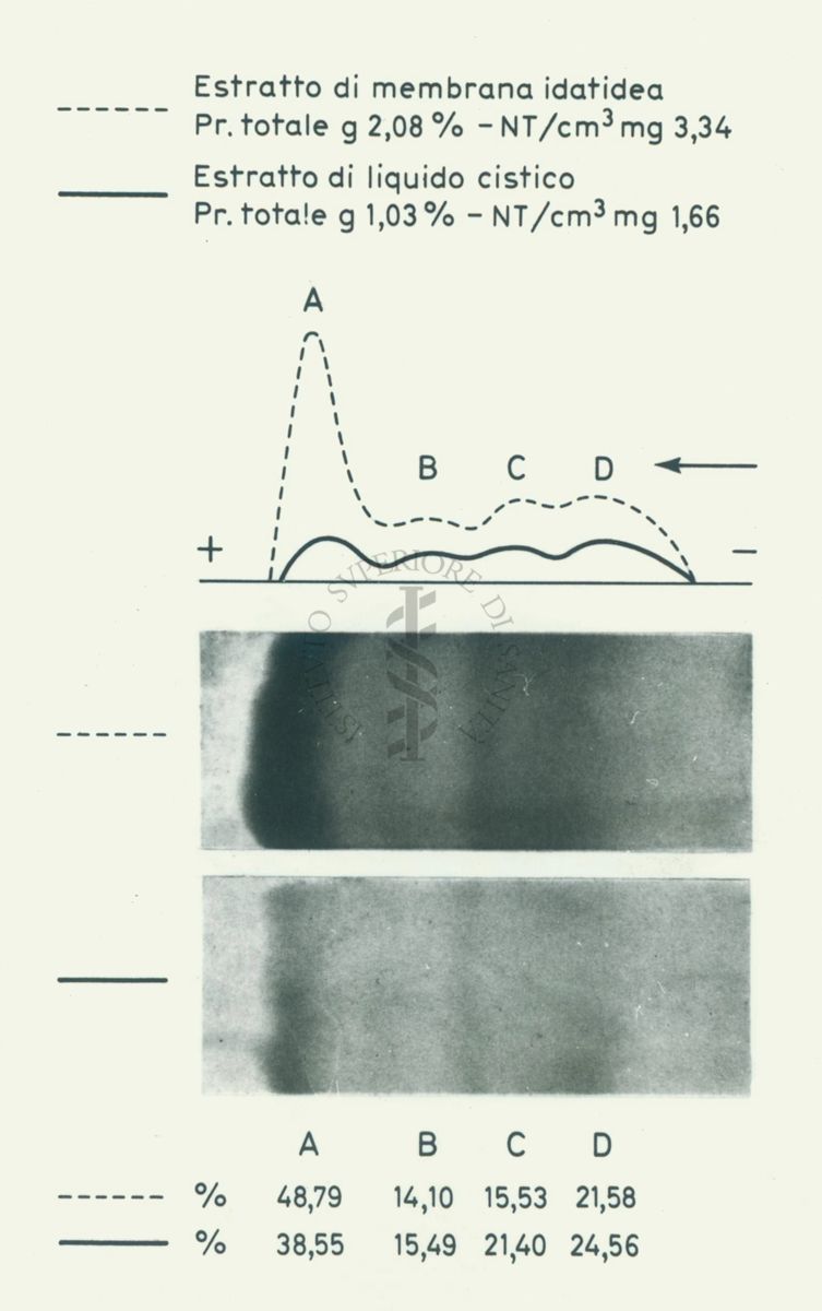 Scheda su dati riguardanti: l'"estratto di membrana idatidea" e l'"estratto di liquido cistico". E' presente un grafico con due immagini sottostanti e una serie di numeri percentuali