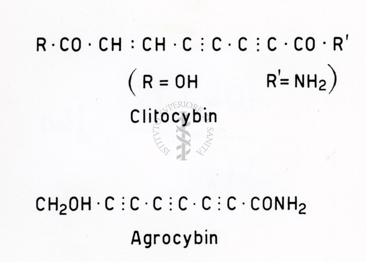 Formule riguardanti la Clitocibina e l'Agrocibina