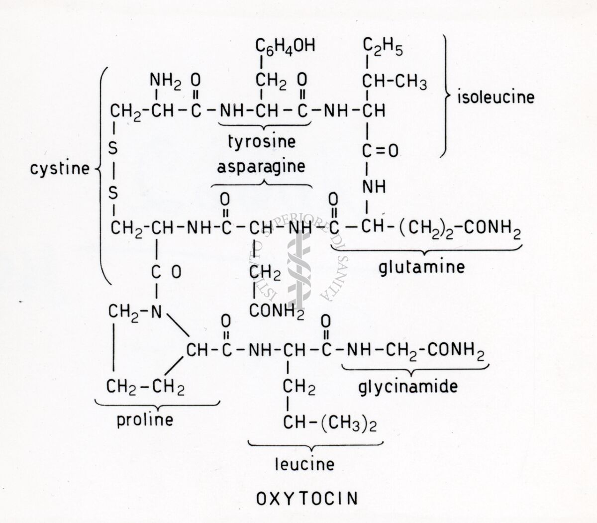 Formula riguardante l'Ossitocina