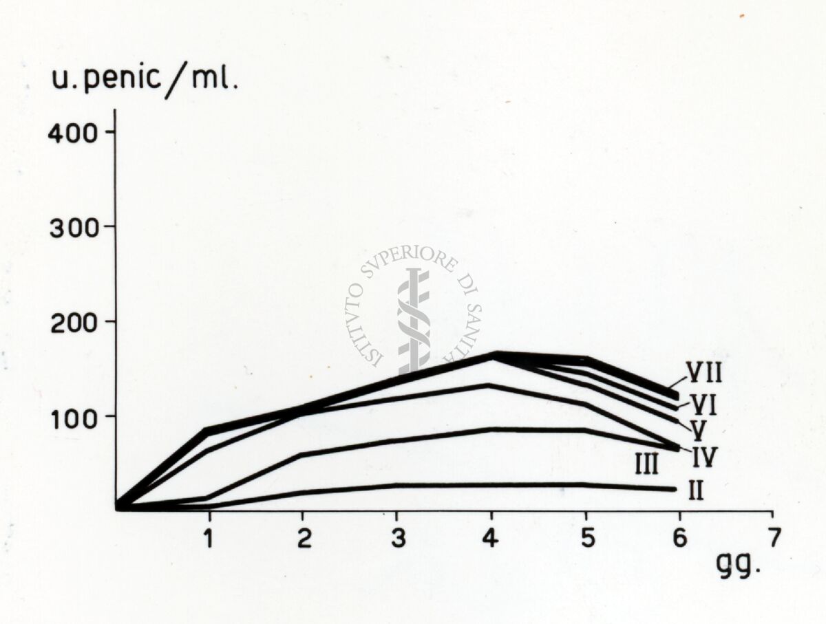 Culture miste tra Penicillium e Cephalosporium