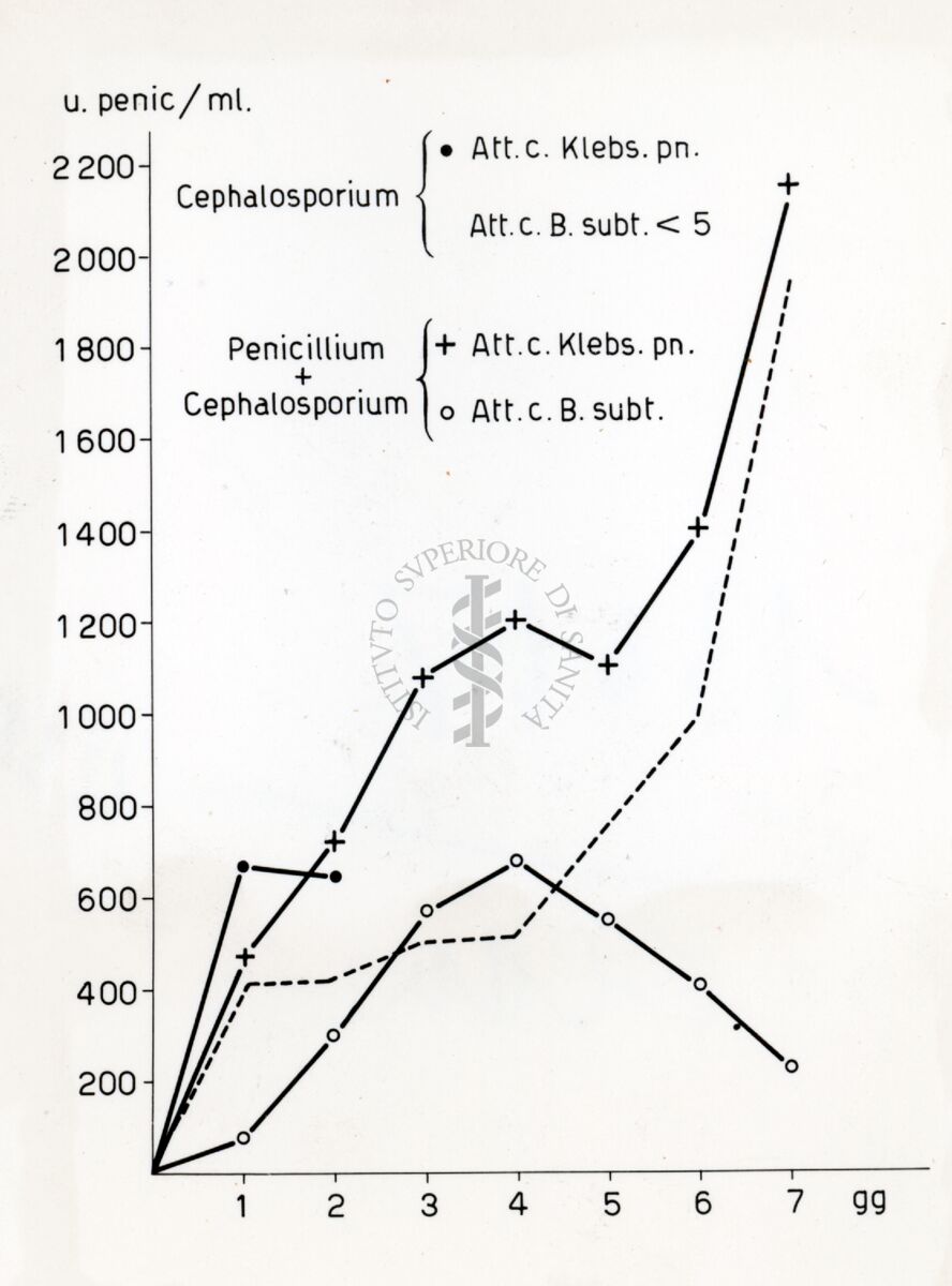 Culture miste tra Penicillium e Cephalosporium