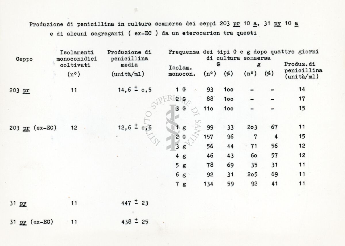 Fattore citoplasmatico in Penicillium