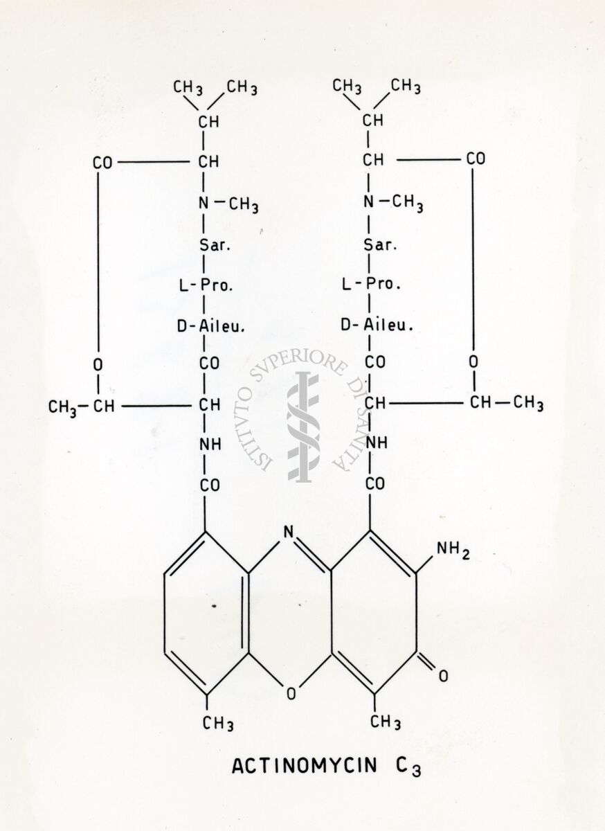 Actinomicina C3