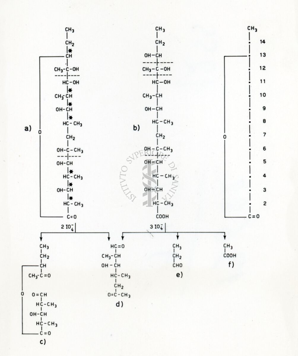 Degradazione della eritromicina  I