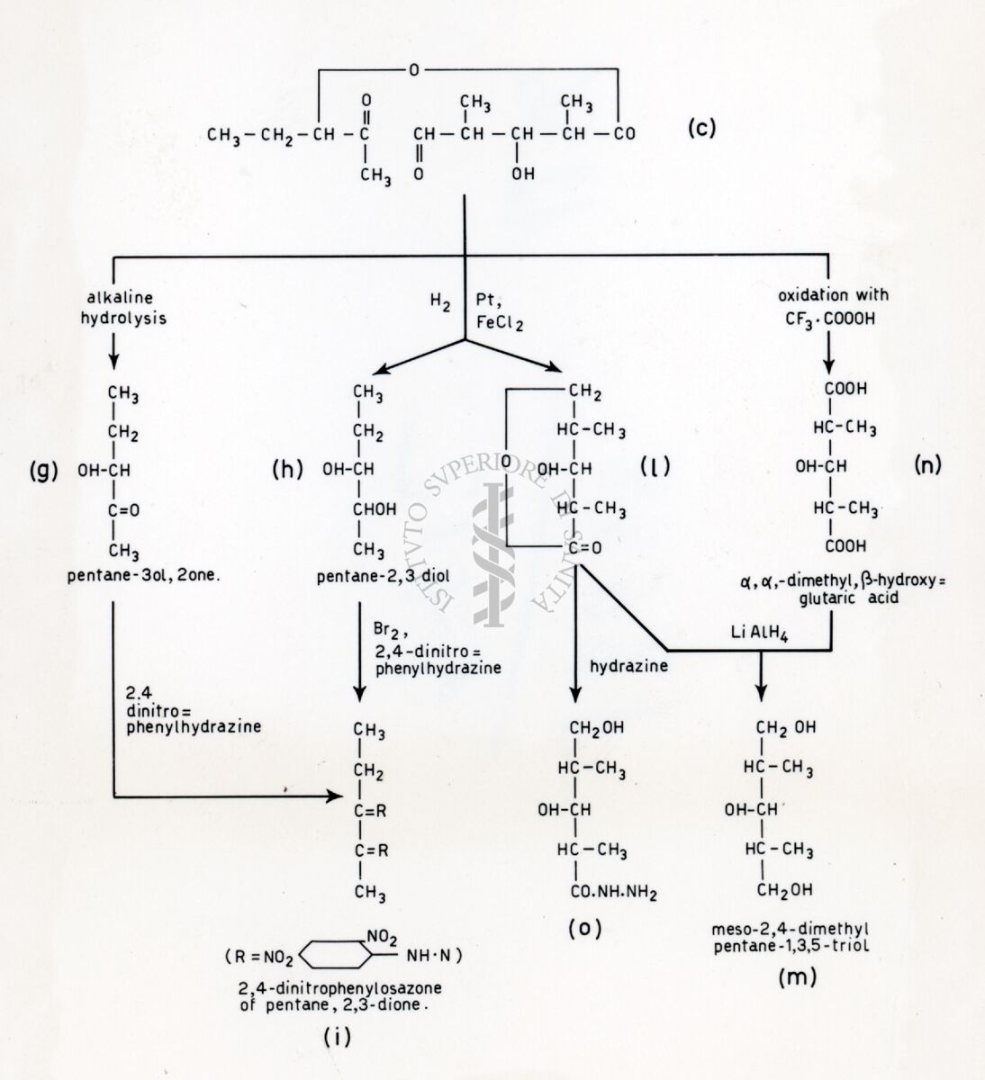 Degradazione della eritromicina  II