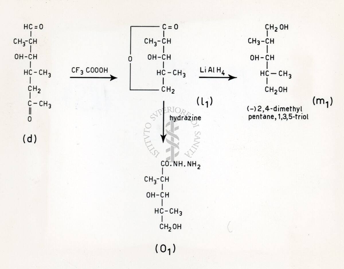 Degradazione della eritromicina  III