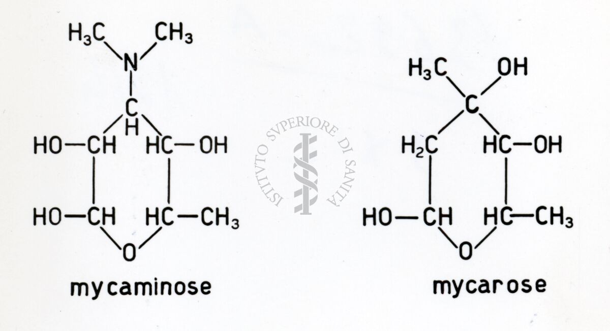 Micaminosio e micarosio