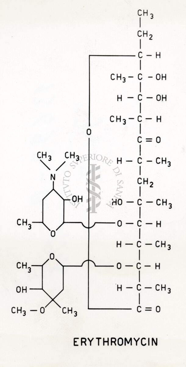 Eritromicina