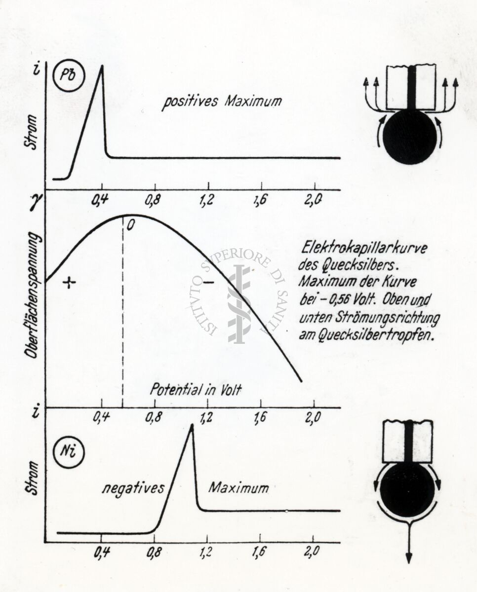 Riproduzione da disegno