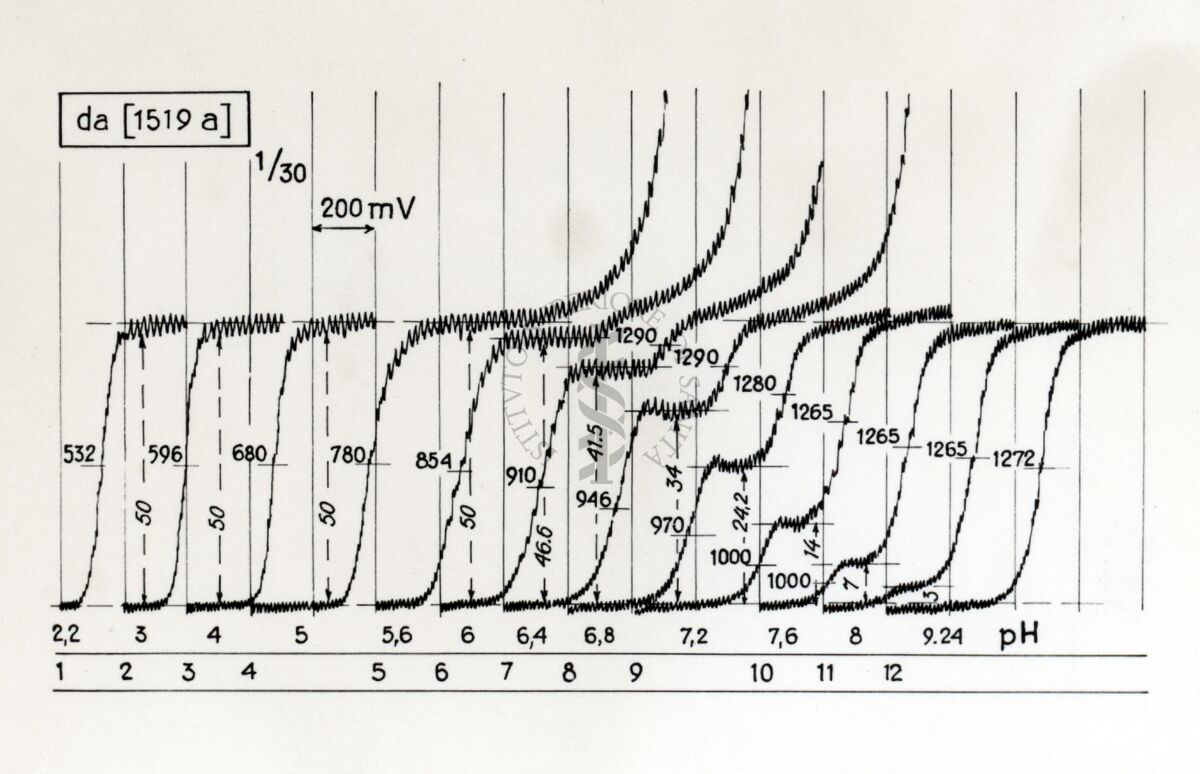 Riproduzione da disegno