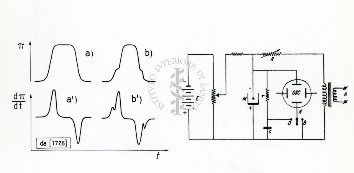 Riproduzione da disegno