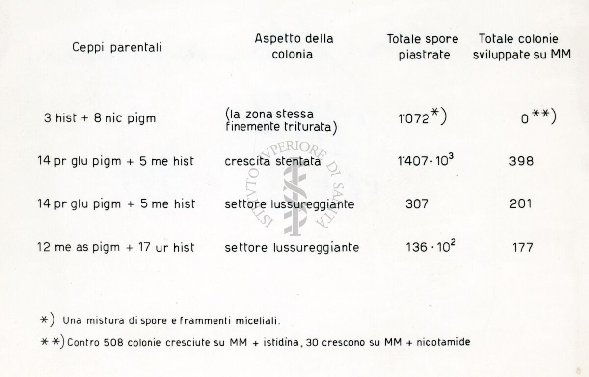 Riproduzione da tabella