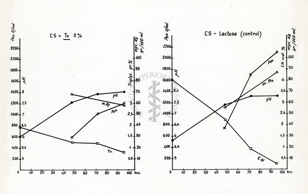 Riproduzione da grafico