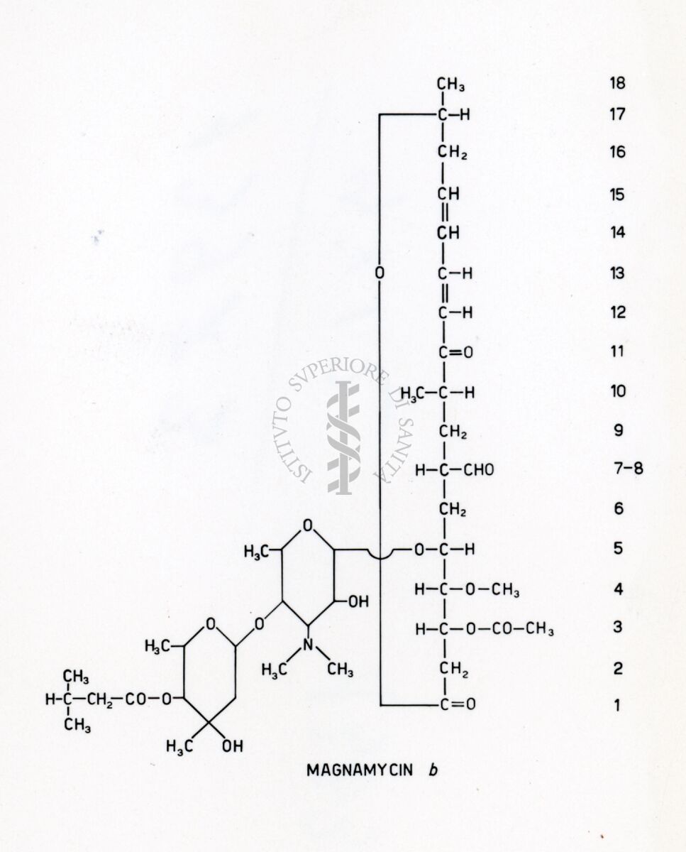 Magnamicina B