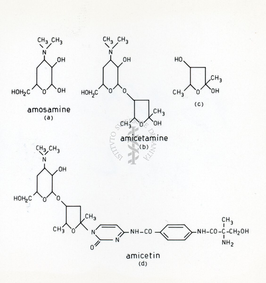 amicetina