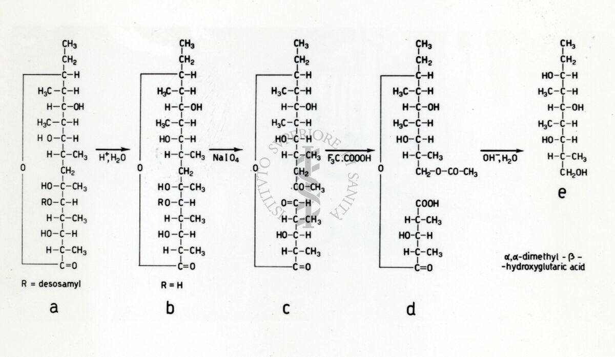 Degradazione dell'Eritromicina