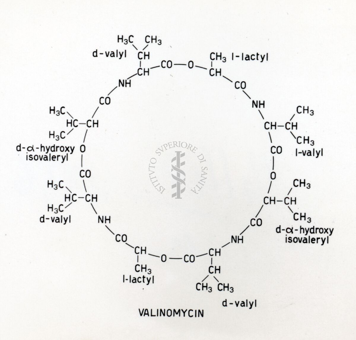 Valinomicina