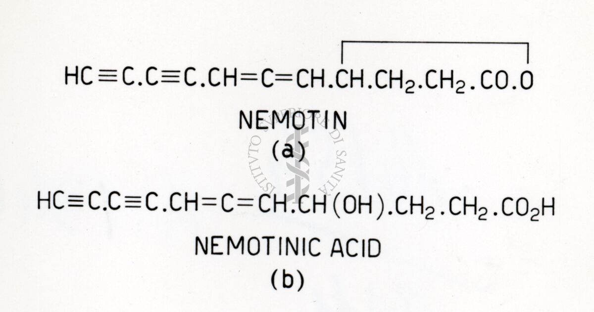 Nemotina