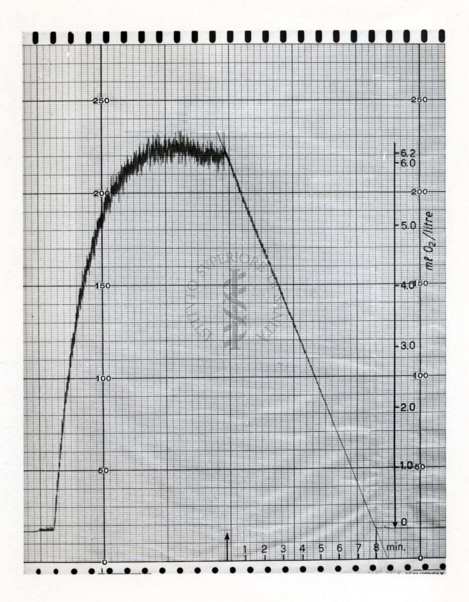 Riproduzione da grafico