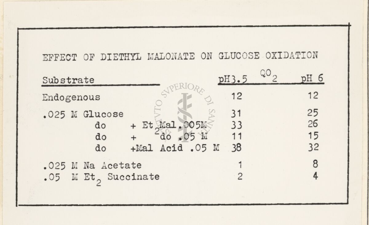 Riproduzione da dattilografia