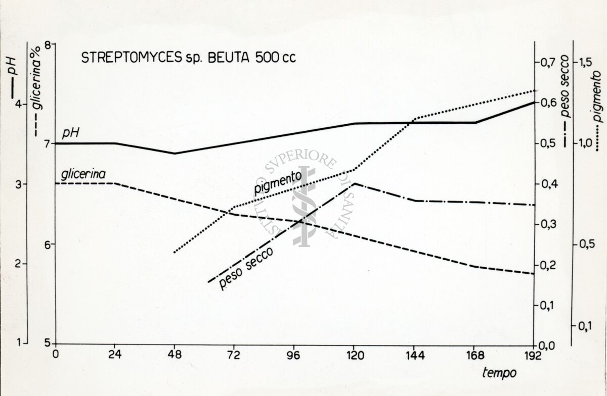 Riproduzione da disegno