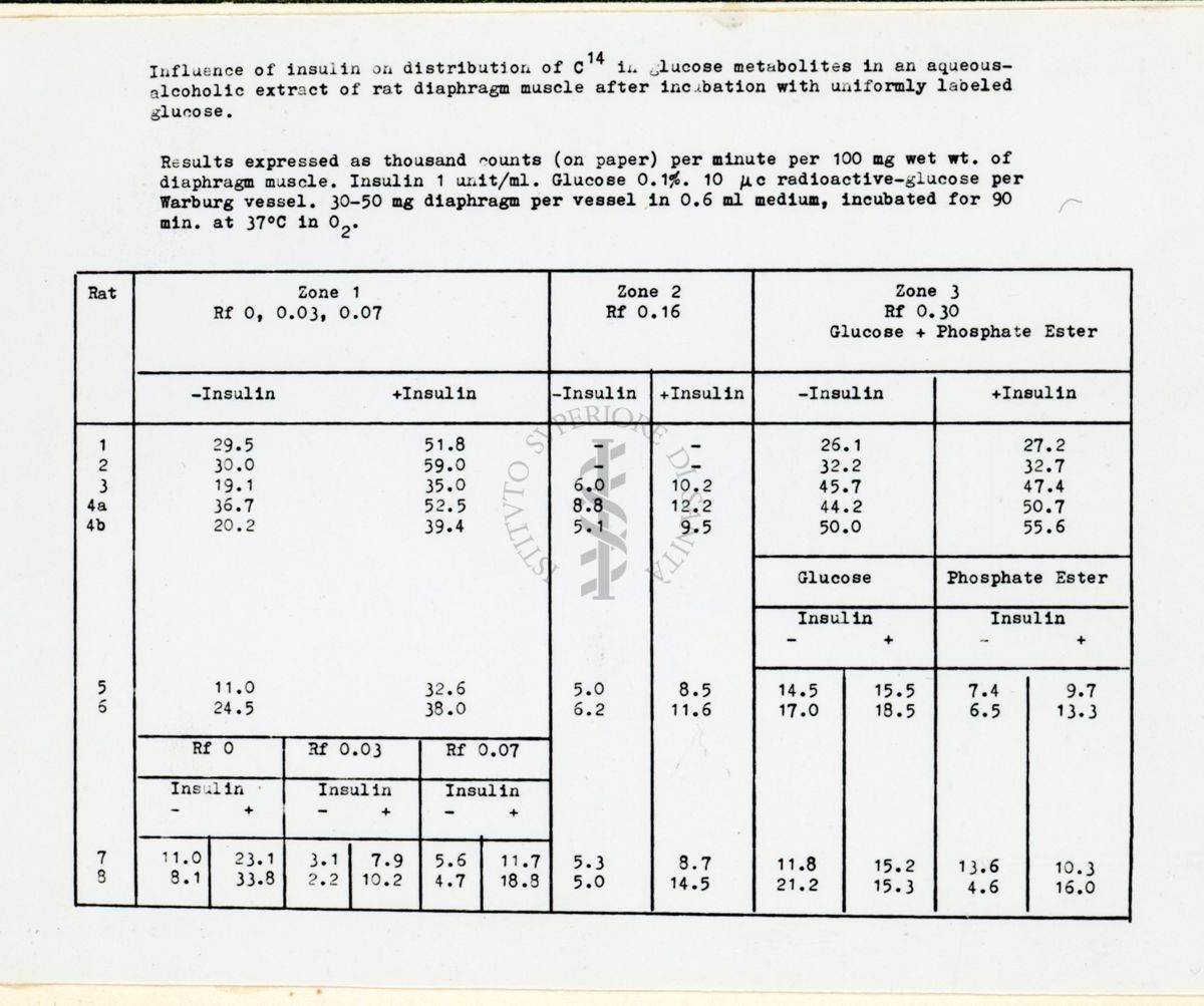 Riproduzione da copia dattilografata