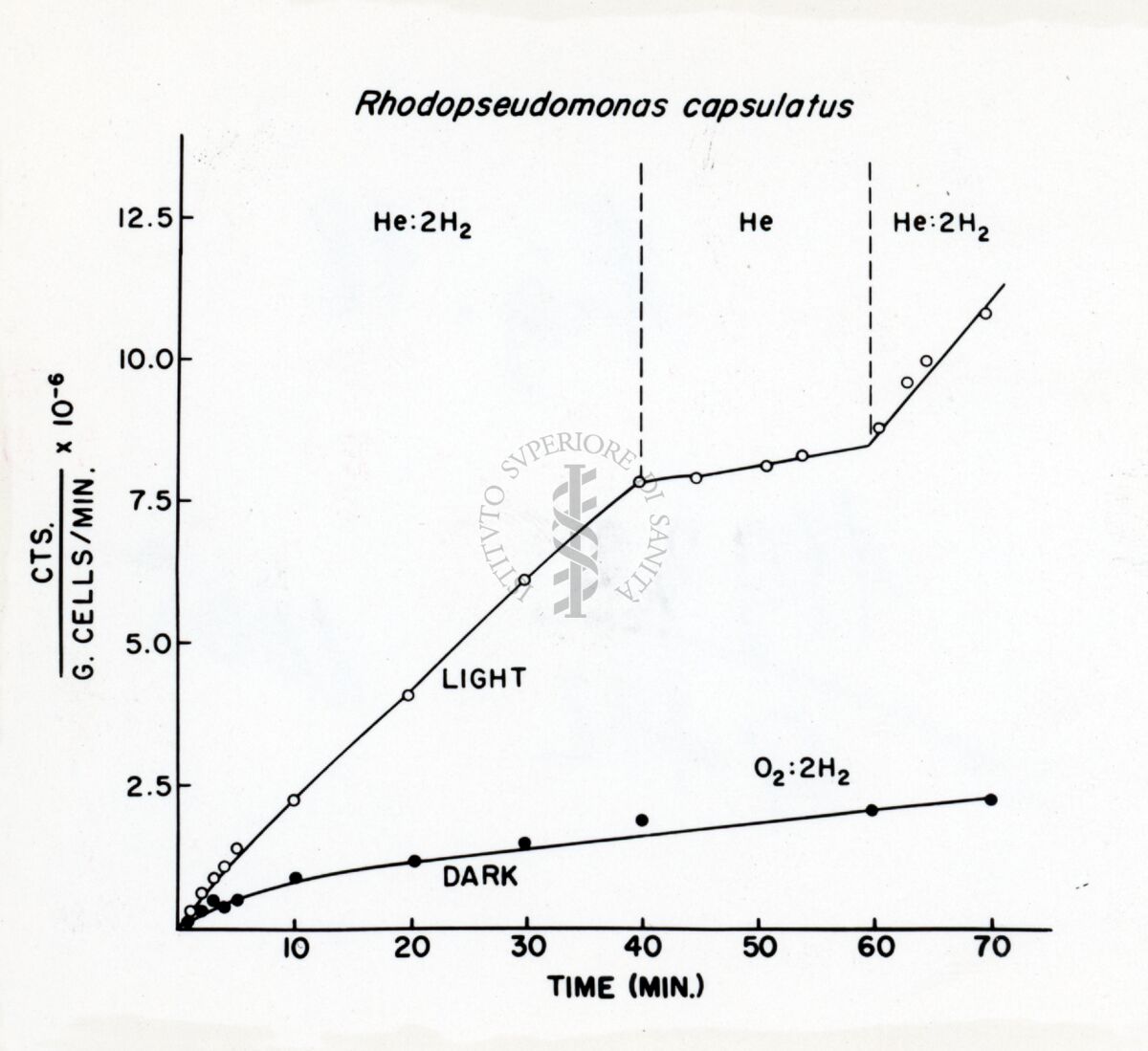 Riduzione del CO2 da parte del batterio purpureo