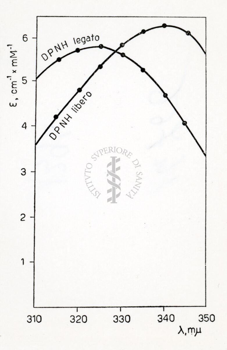 Attività metaboliche dell'adrenalina