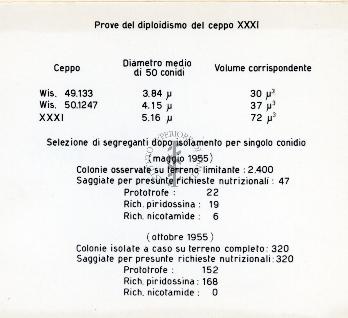 Tabella dal titolo: Prove del diploidismo del ceppo XXXI