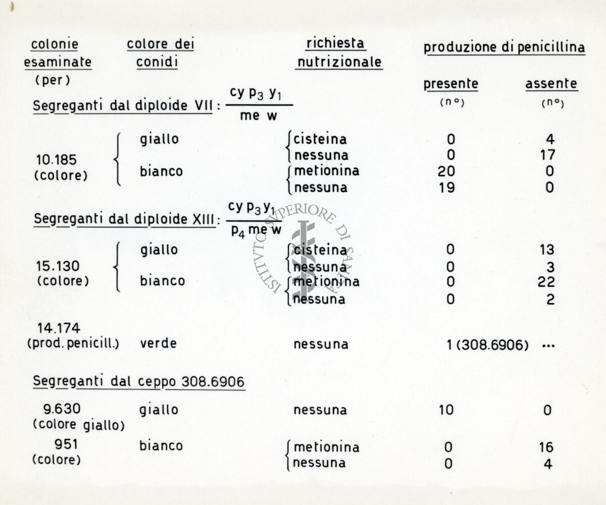 Tabella sulla produzione di Penicillina