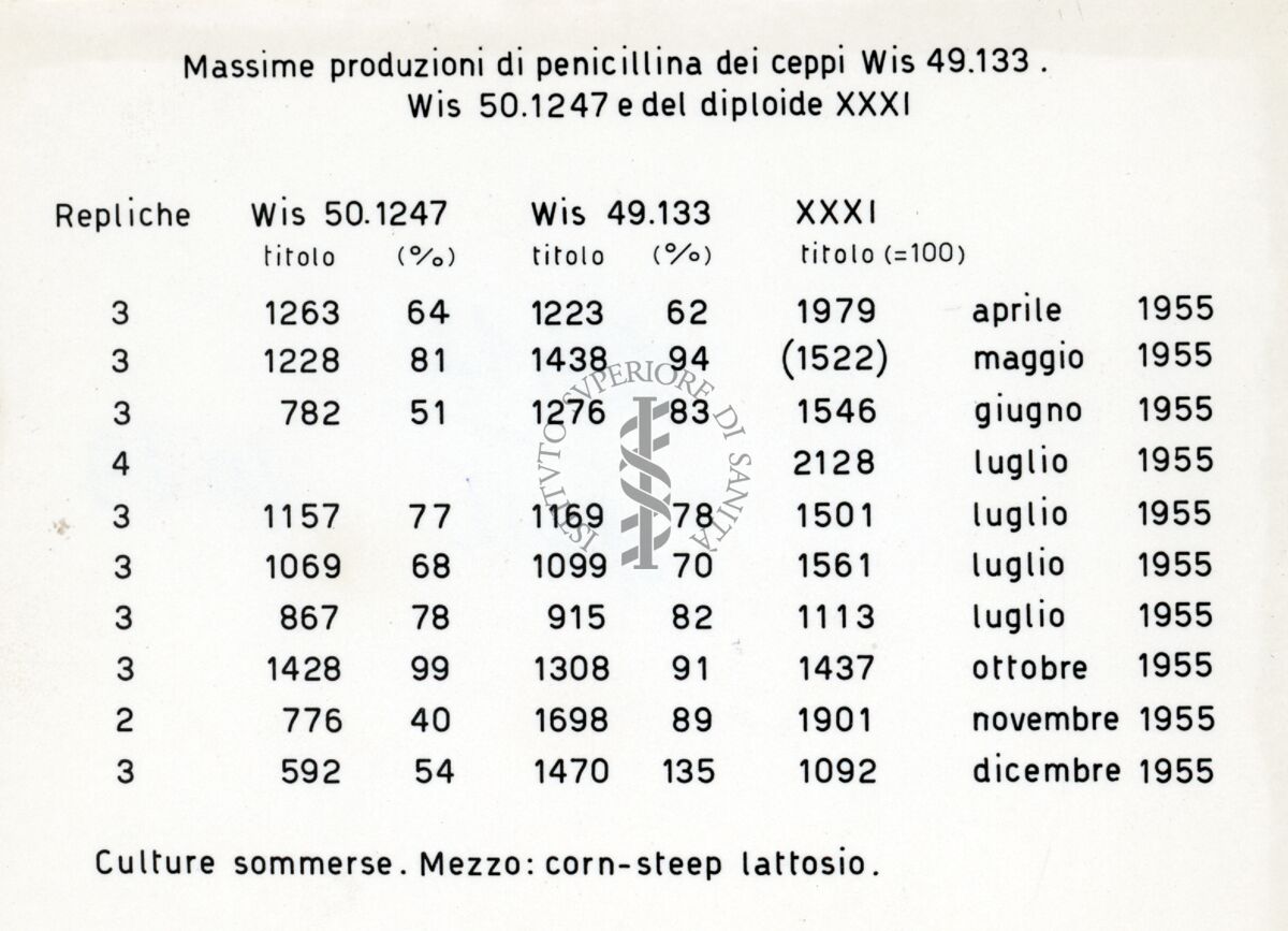 Tabella dal titolo: Massime produzioni di penicillina dei ceppi Wis. 49.133, Wis 50.1247 e del diploide XXXI