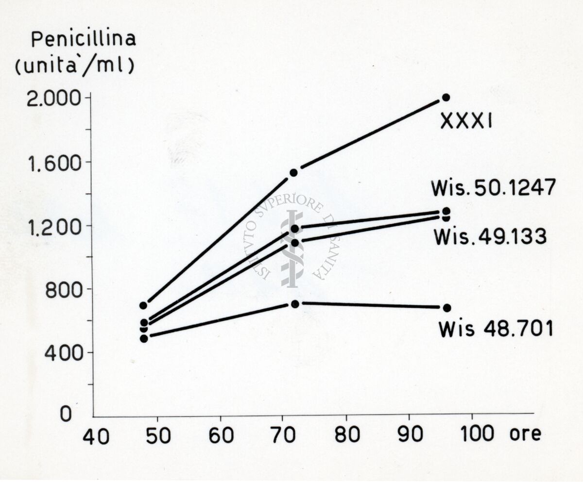 Grafico sulla penicillina in cui sono riportati i ceppi Wis. 48.701, Wis. 49.133, Wis. 50.1247, XXXI