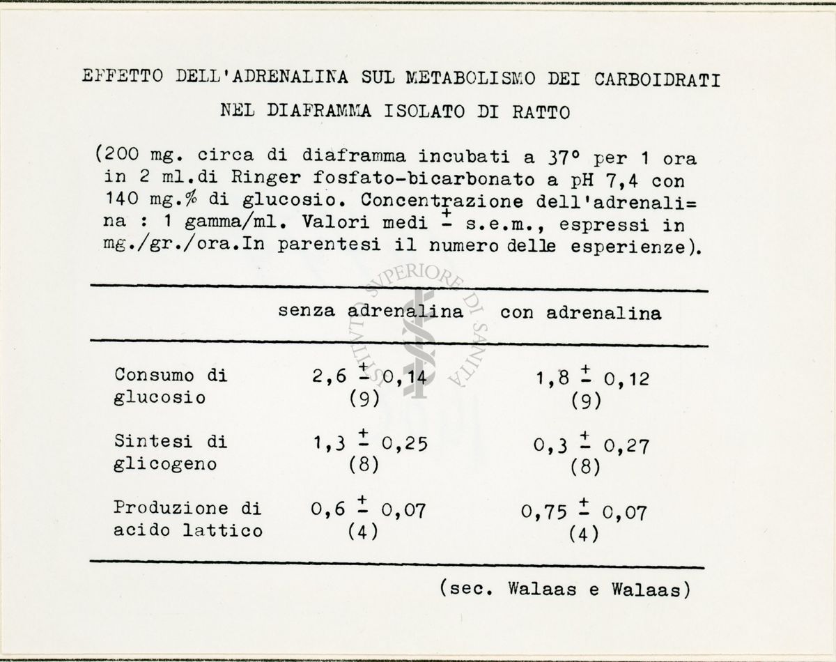 Attività metaboliche dell'adrenalina