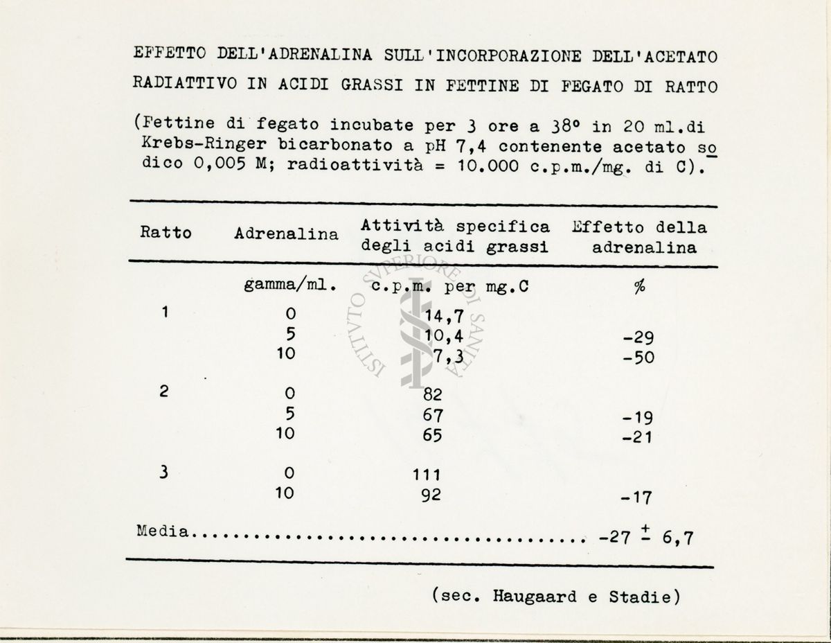 Attività metaboliche dell'adrenalina