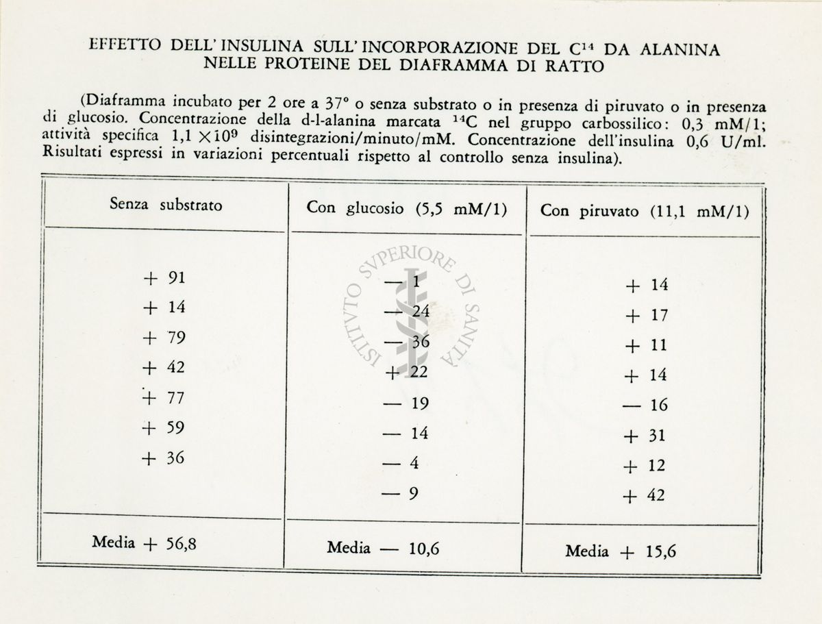 Attività metaboliche dell'adrenalina