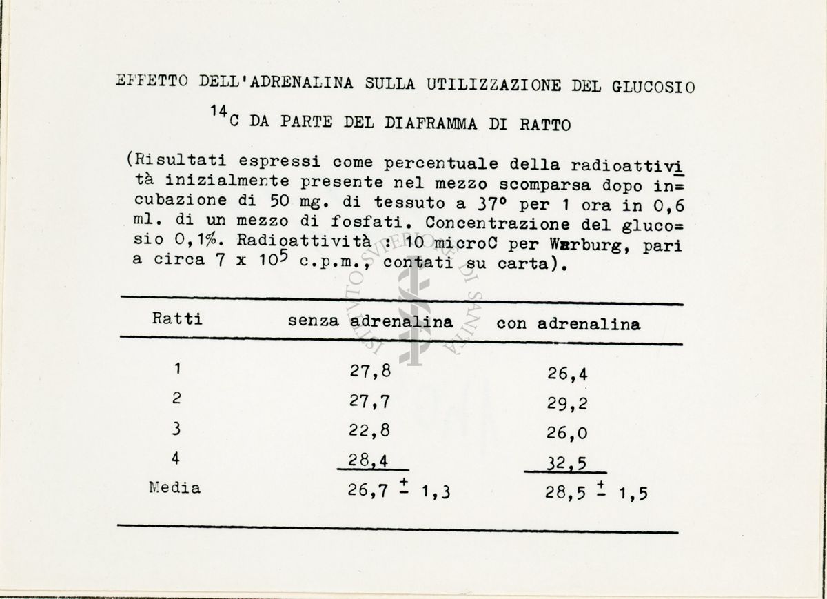 Attività metaboliche dell'adrenalina